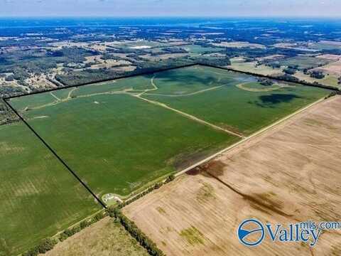 480 Acres 6th Street, Leighton, AL 35646