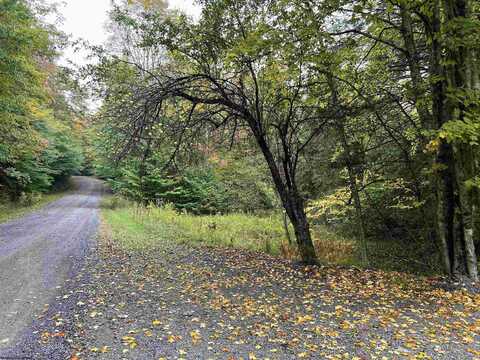 Lot 16 Black Bear Trail, Davis, WV 26260