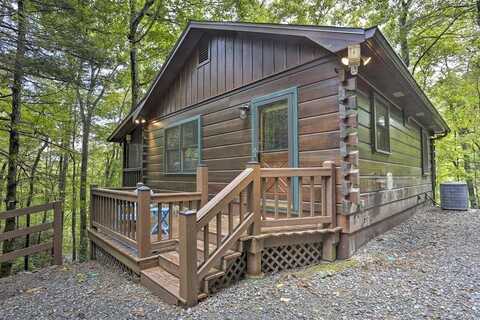 488 Joanne Sisson Road, Blue Ridge, GA 30513