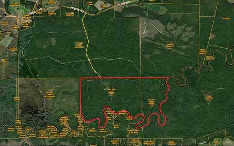 TBD TRUDIE ROAD, Other, FL 31557