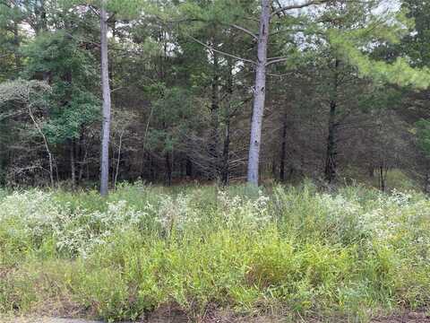 Lot 26 Tbd Cedarpark Place, Lindale, TX 75771