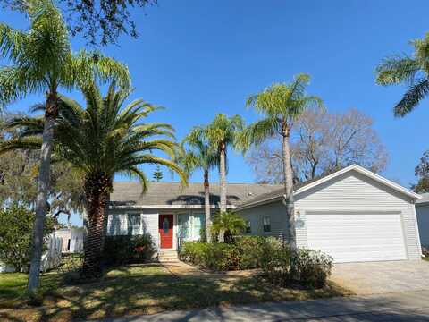 12607 SILVER DOLLAR DRIVE, ODESSA, FL 33556