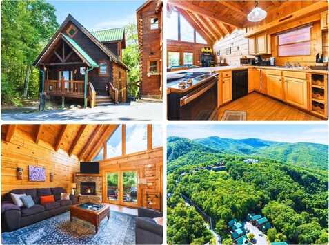 1251 Bear Cub Way, Gatlinburg, TN 37738