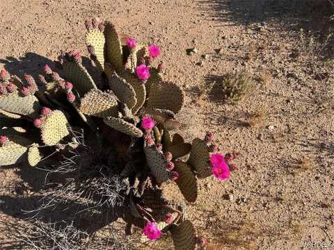 1 South Butch Cassidy Road, Lake Havasu City, AZ 86438