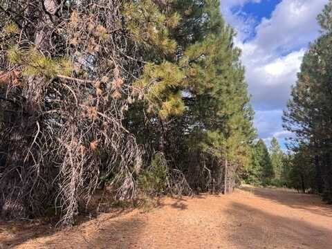 621 Greenville Wolf Creek Road, Greenville, CA 95947