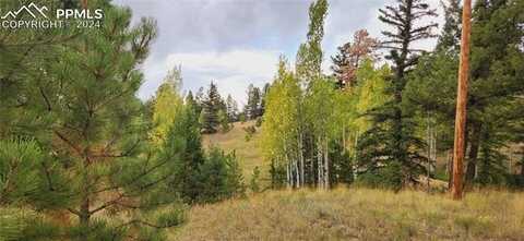 1875 County Road 421, Florissant, CO 80816