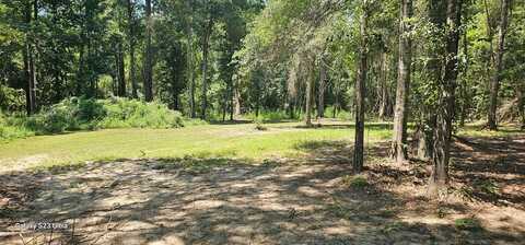 112 N Apple South Dr, Carriere, MS 39426