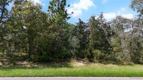 51 Oak Village Boulevard, Homosassa, FL 34446