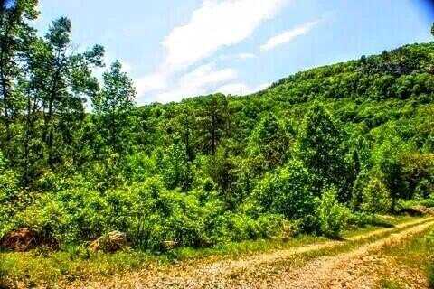 2.2 Acres Blue Sewabee Road, Dunlap, TN 37327