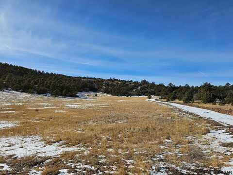 2192 Vista View Road, Canon City, CO 81212