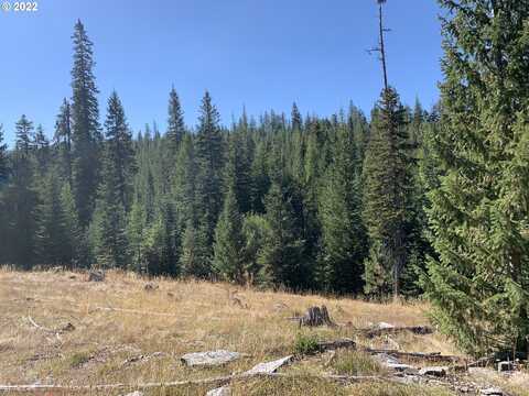 0 Forrest Land, La Grande, OR 97850