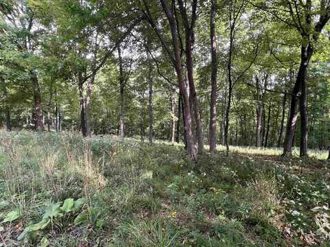 65698 DeSoto Ridge Road, De Soto, WI 54624