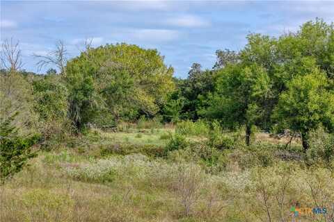 296 Thompson Road, Dale, TX 78616