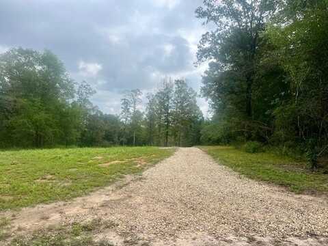 260 Albert Rayburn Road, Columbia, MS 39429