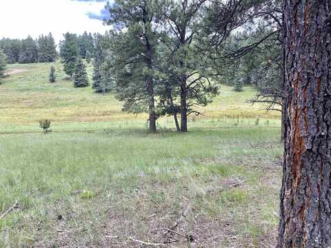 Lot 79 San Juan, Angel Fire, NM 87710