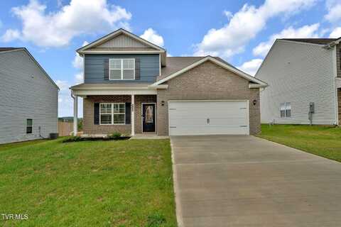 636 Butler Lane, Blountville, TN 37617