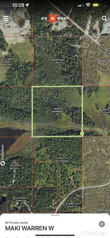 40 Acres Off Paint River, Crystal Falls, MI 49920