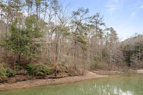 LOT 40 SIPSEY OVERLOOK, Double Springs, AL 35553