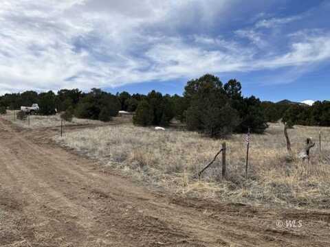 1813 14th Trail, Cotopaxi, CO 81223