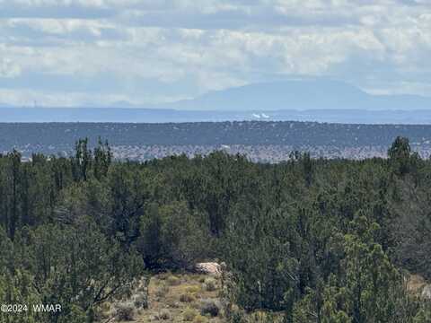 148 Red Sky Ranch, Saint Johns, AZ 85936