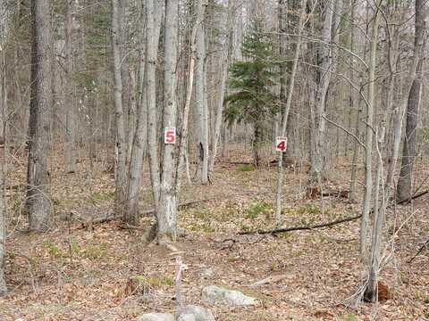 Lot 5 Daigneau Trail, Merrillsville, NY 12989