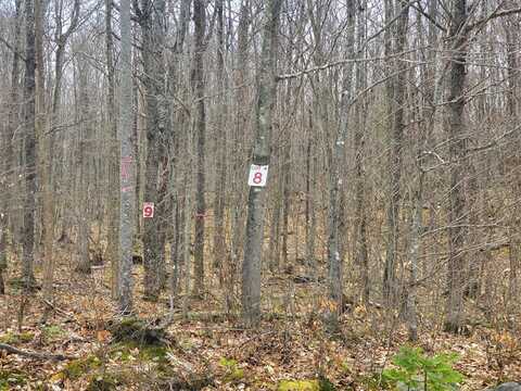 Lot 8 Daigneau Trail, Merrillsville, NY 12989