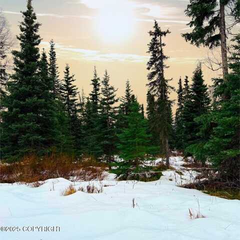 14374 Board Street, Clam Gulch, AK 99568