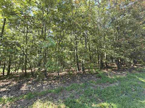 Lot 359 Pine Hill rd, Fairfield Bay, AR 72088