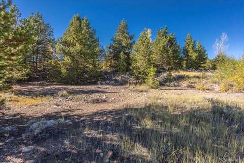 TBD, Leadville, CO 80461