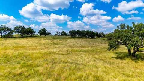 184 Agrihood Dr, Fredericksburg, TX 78624