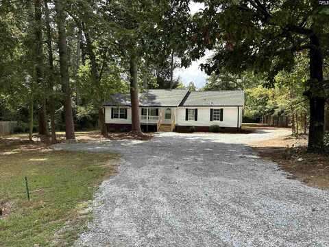 538 Old Bush River Road, Chapin, SC 29036