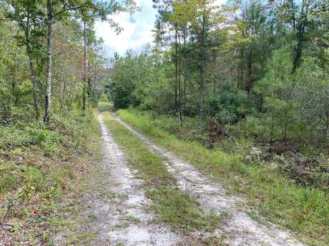 0 Great Swamp Road, Walterboro, SC 29488