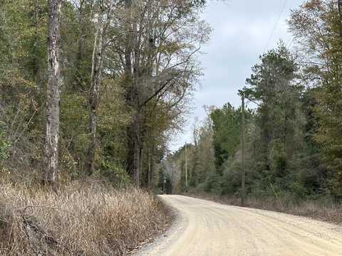 Tract#6411 SW White Road, Chipley, FL 32428