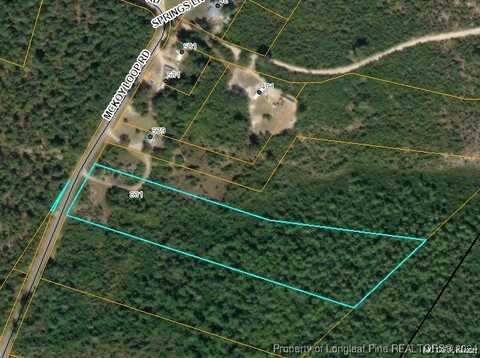 0 McKoy Loop Road, Ivanhoe, NC 28447