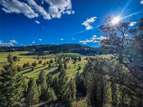 116115 S Buxton, Butte, MT 59750