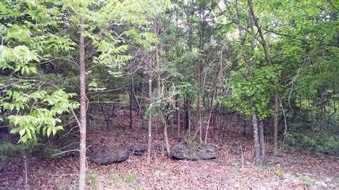 Lot 27 Timberlake Circle, Galena, MO 65656