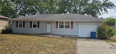 704 W McDowell Street, Odessa, MO 64076