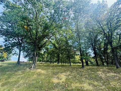 Lot #3041 Lake Viking Terrace, Gallatin, MO 64640