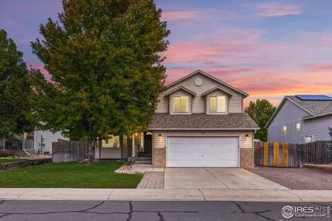 521 Springwood Ct, Windsor, CO 80550