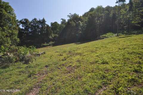 Lot 2 Old Springs Rd, Maynardville, TN 37807