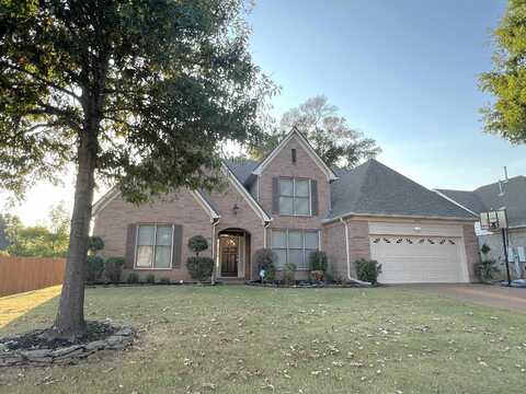 4883 FOX SPRINGS, Collierville, TN 38017