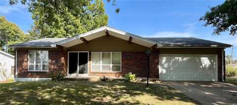 12804 Fox Haven Drive, Florissant, MO 63033