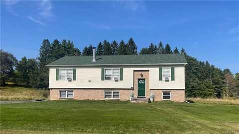 315 Mohn Road, Cochecton, NY 12726