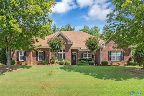 229 Coldsprings Drive, Harvest, AL 35749