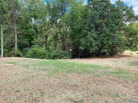 1 Acre Highway 67, Somerville, AL 35670