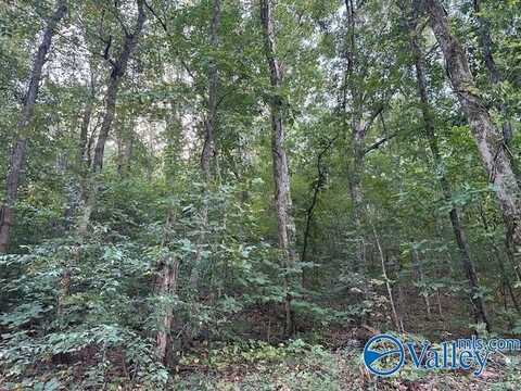 * Wyeth Drive, Guntersville, AL 35976