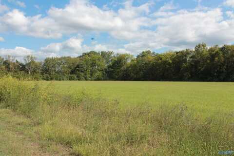 10 Acres Culver Road, Falkville, AL 35622