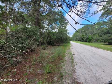 221 PONDEROSA PINE Court, Georgetown, FL 32139