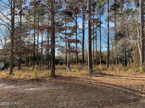 206 Sanderling Lane, New Bern, NC 28562