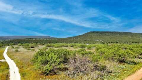 Tbd Fortune Bend Road, Graford, TX 76449